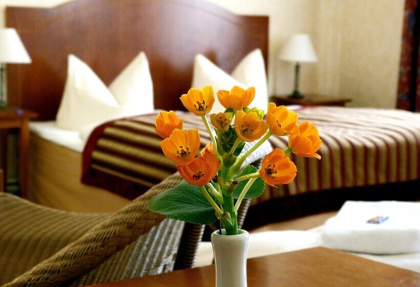 اتاق استاندارد سه نفره, Safestay Berlin Kurfurstendamm
