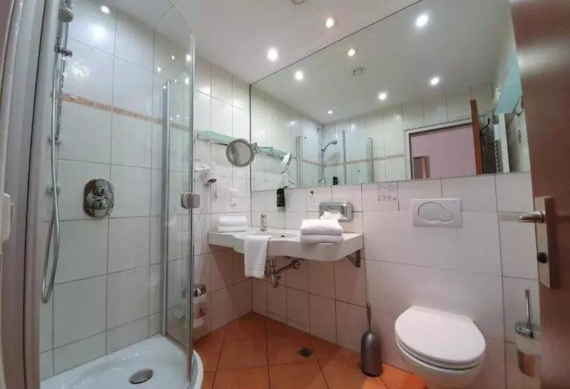 اتاق سوپریور با تخت بزرگ, Quellenhof