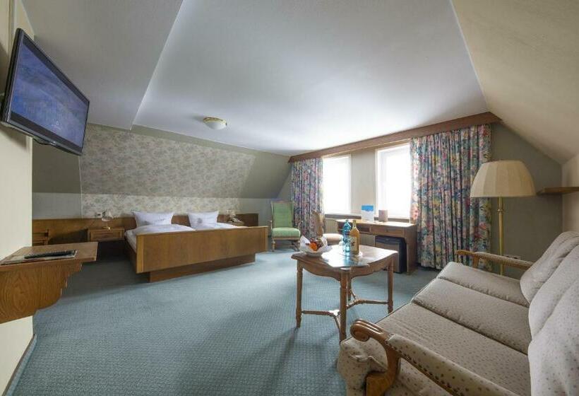 스탠다드 룸, Berghotel Hoher Knochen