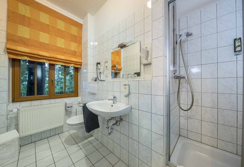 غرفة قياسية, Parkhotel Plauen