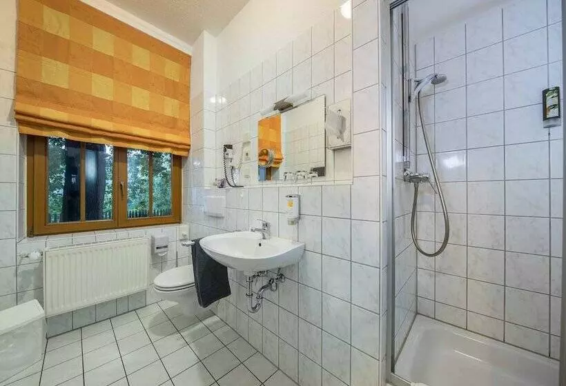 スタンダードシングルルーム, Parkhotel Plauen
