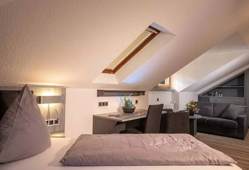 エコノミーシングルルーム, Parkhotel Plauen