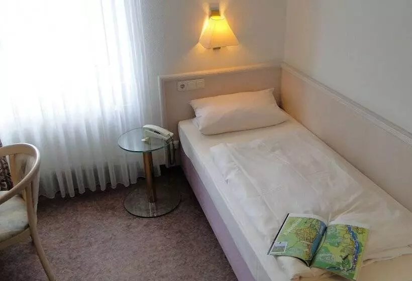 Standard Single Room, Traube Rüdesheim