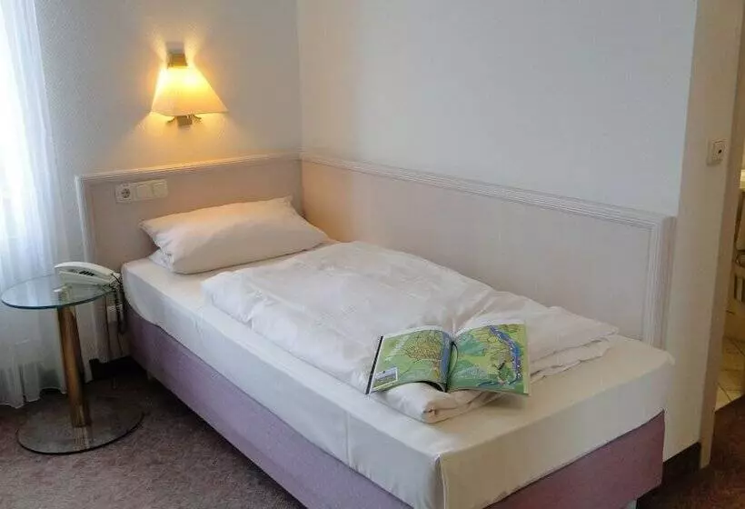Standard Single Room, Traube Rüdesheim