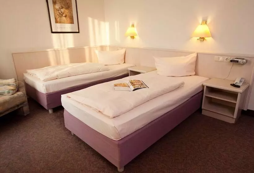 Standard Room, Traube Rüdesheim