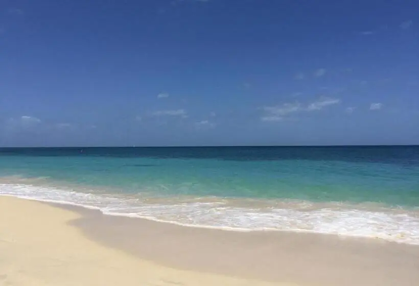 اتاق استاندارد با تخت بزرگ, Allamanda Beach Resort