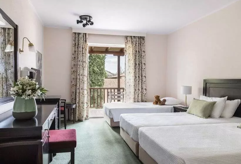 Classic-huone, Amalia Hotel Kalambaka
