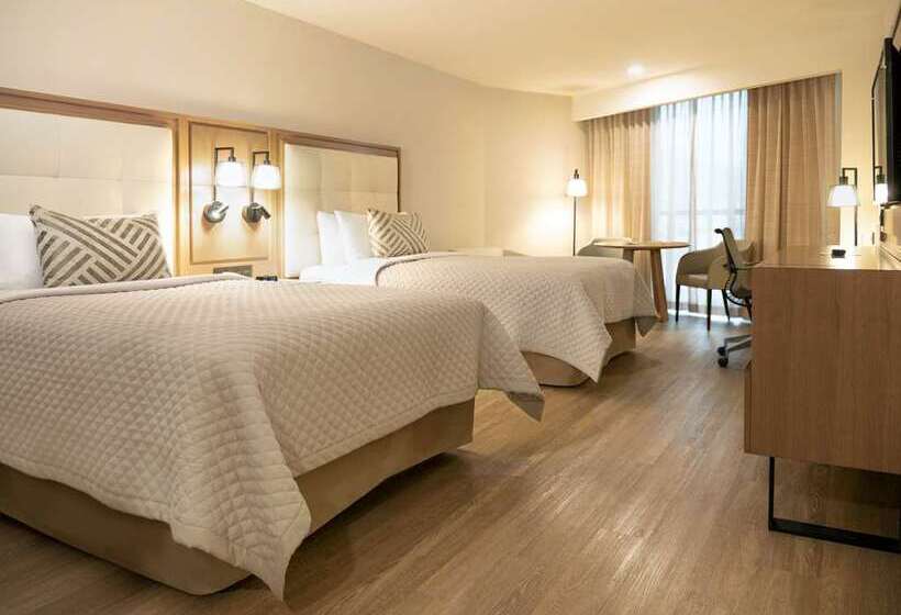 エクゼクティブルーム, Hilton Princess San Pedro Sula