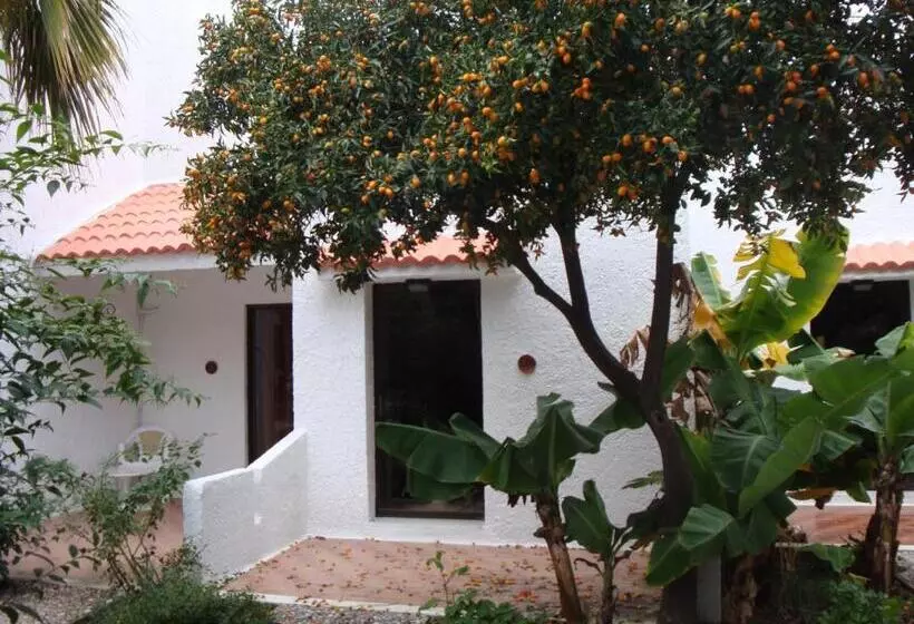 スタンダードルーム, Oasis Hotel Bungalows Rhodes  All Inclusive