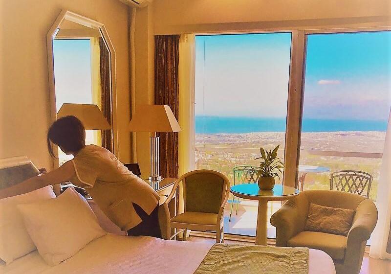 高级大房间, Panorama