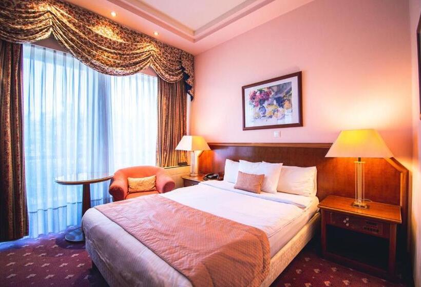 单人经济间, Panorama