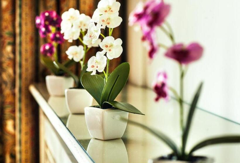 全景房标准间, Panorama