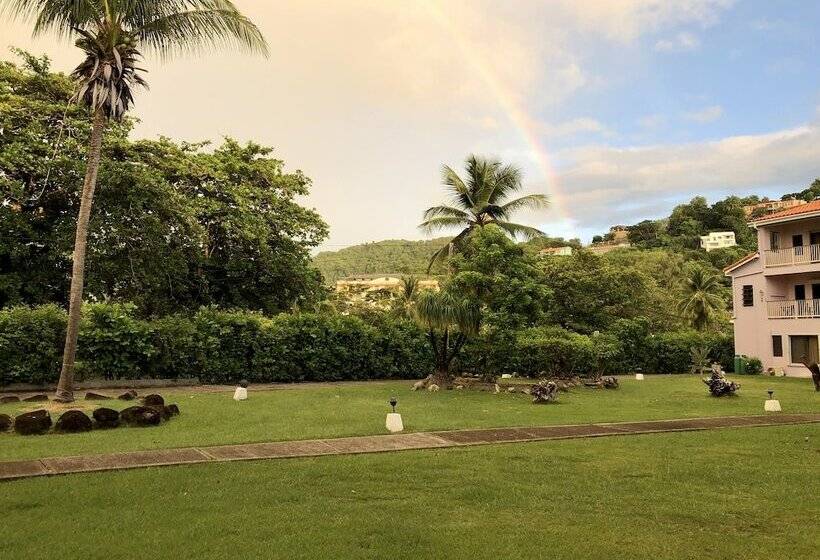 اتاق استاندارد با 2 تخت دوبل, Allamanda Beach