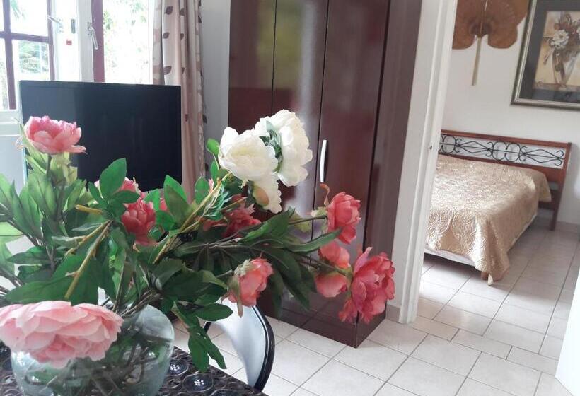 سوییت جونیور با چشمانداز استخر, Harmony Hotel Hostel