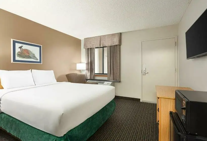スタンダードルーム, Travelodge By Wyndham Wellington Ks