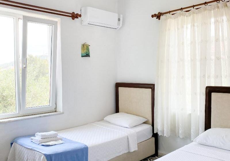 Номер Стандарт, Lacivert