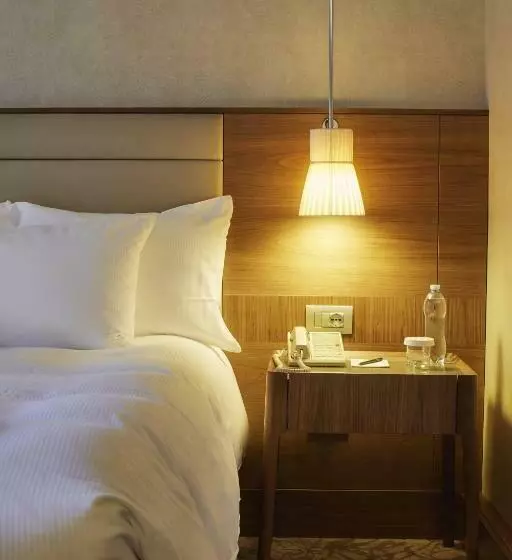 Standard Room King Size Bed