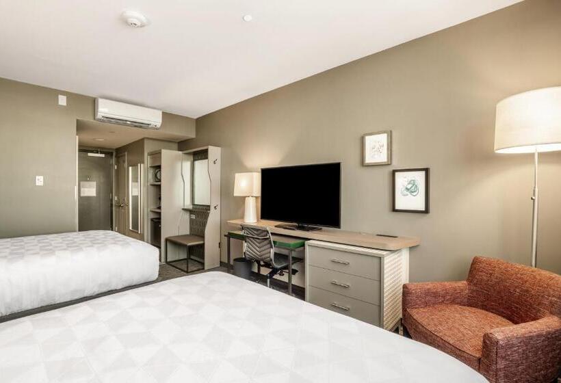 标准间, Holiday Inn   Columbia   Downtown, An Ihg