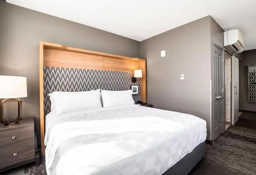 身障者適用キングサイズベッドルーム, Holiday Inn   Columbia   Downtown, An Ihg