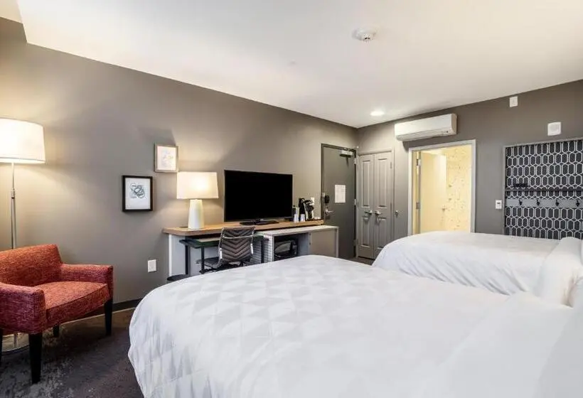 身障者適用スタンダードルーム, Holiday Inn   Columbia   Downtown, An Ihg