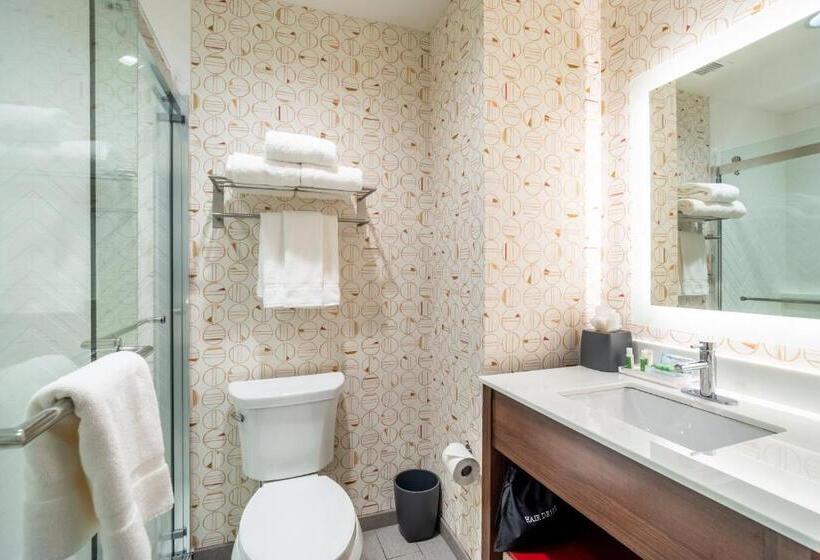 Номер Стандарт Адаптированный для Инвалидов, Holiday Inn Columbia Downtown, An Ihg