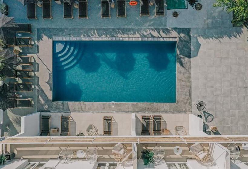 豪华套房, Olive Grove Suites Boutique