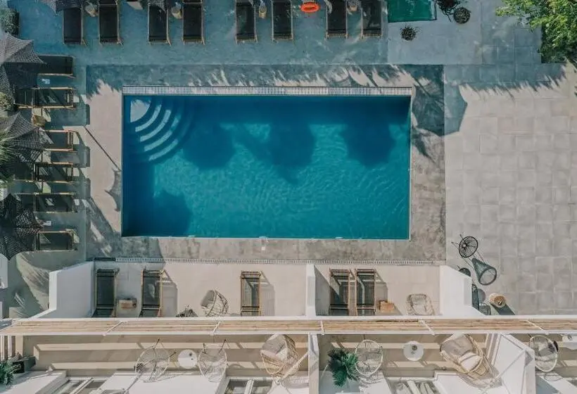 Deluxe-sviitti, Olive Grove Suites Boutique