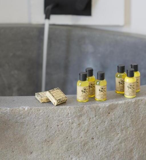 豪华套房, Olive Grove Suites Boutique