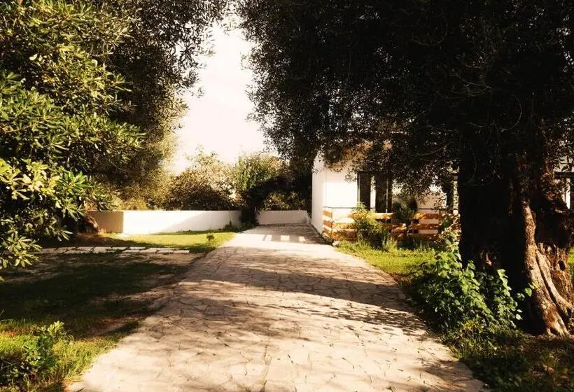 Standard-huone Parveke, Olive Grove Suites Boutique