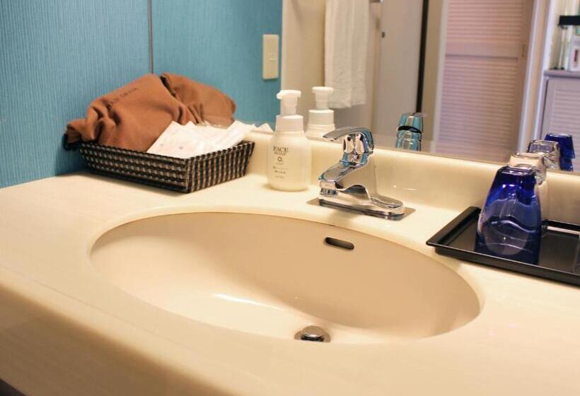 Номер Deluxe, Loisir Hotel Naha