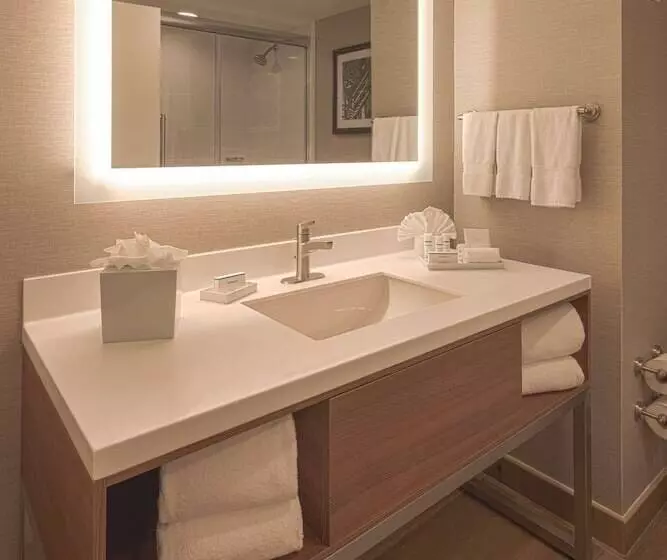 سوییت, Hampton Inn By Hilton Monterrey/galeríasobispado