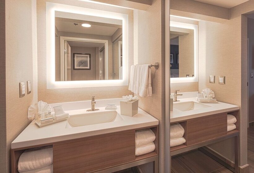 ２ダブルベッドのスタンダードルーム, Hampton Inn By Hilton Monterrey/galeríasobispado