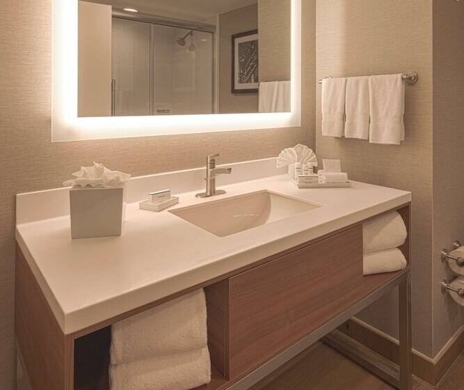 ２ダブルベッドのスタンダードルーム, Hampton Inn By Hilton Monterrey/galeríasobispado