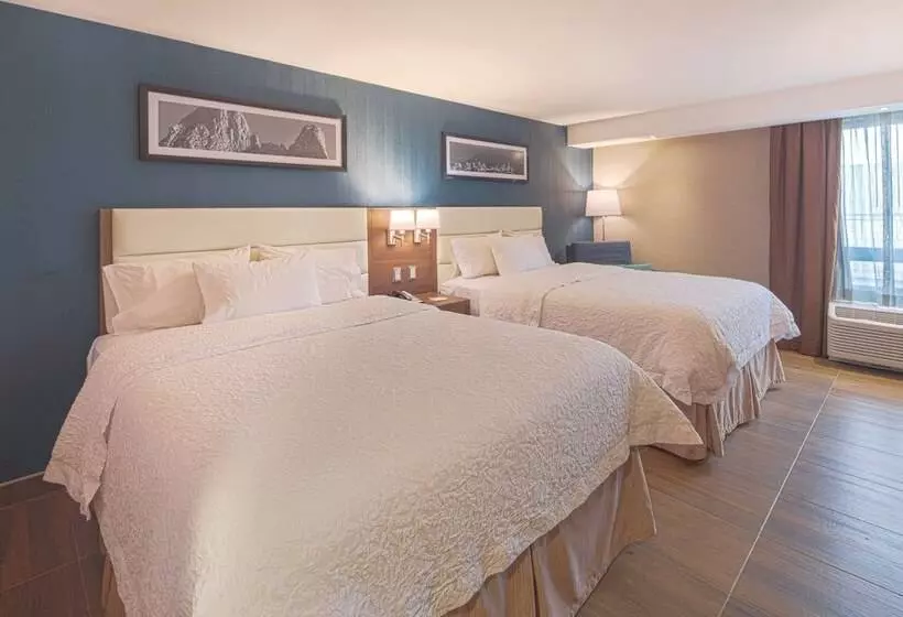 اتاق استاندارد با 2 تخت دوبل, Hampton Inn By Hilton Monterrey/galeríasobispado