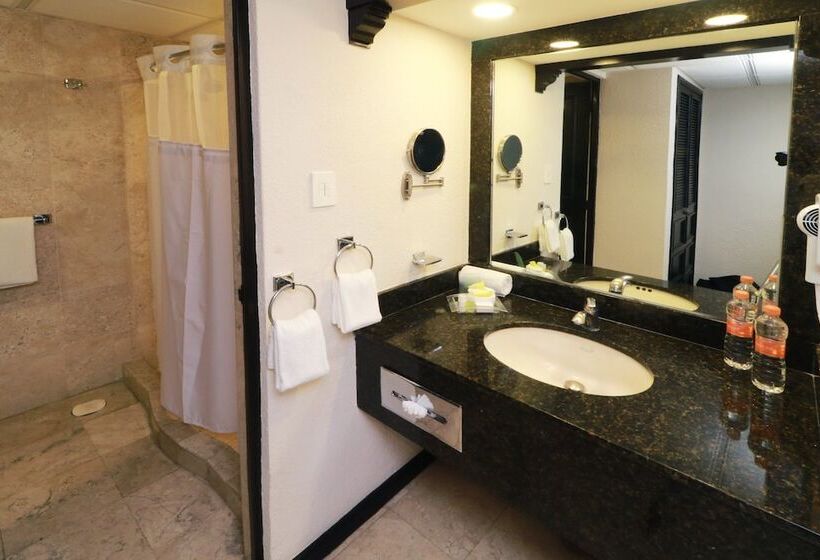 اتاق استاندارد با 2 تخت دوبل, Holiday Inn San Luis Potosi Quijote By Ihg