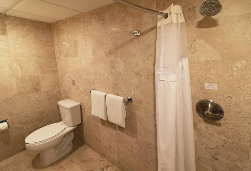 غرفه قياسيه سريرين مزدوجين, Holiday Inn San Luis Potosi Quijote By Ihg