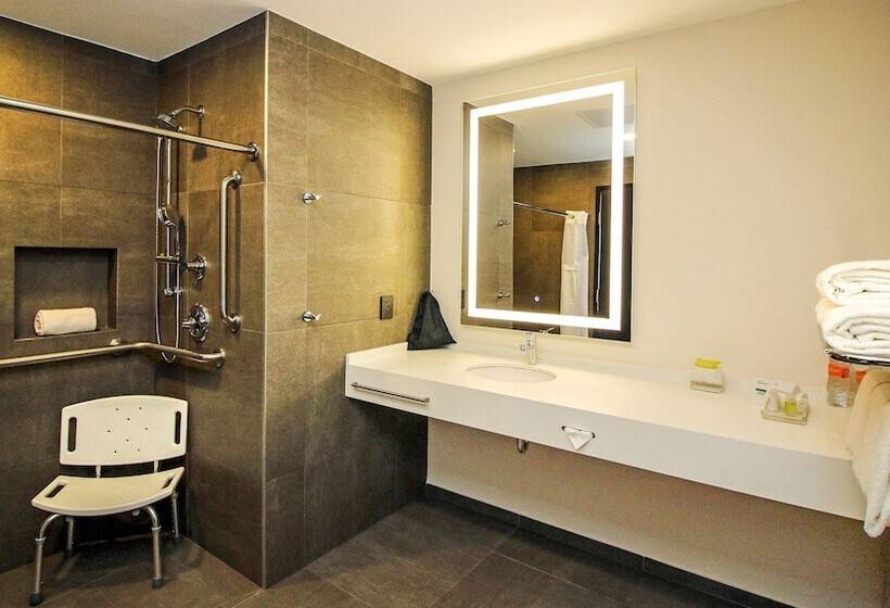 غرفه قياسيه سريرين مزدوجين, Holiday Inn San Luis Potosi Quijote By Ihg