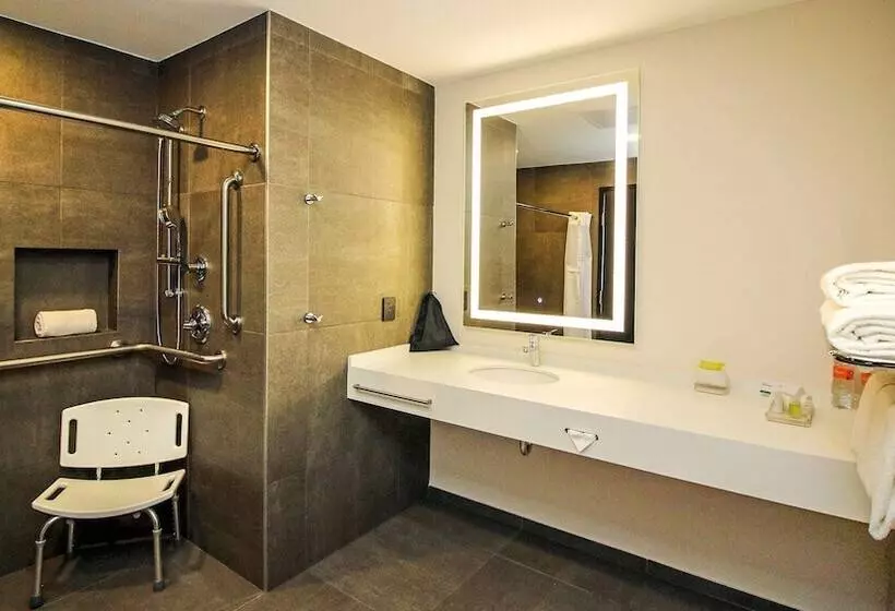 اتاق استاندارد, Holiday Inn San Luis Potosi Quijote By Ihg