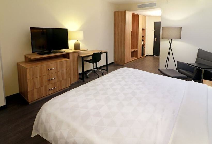 غرفة قياسية, Holiday Inn San Luis Potosi Quijote By Ihg