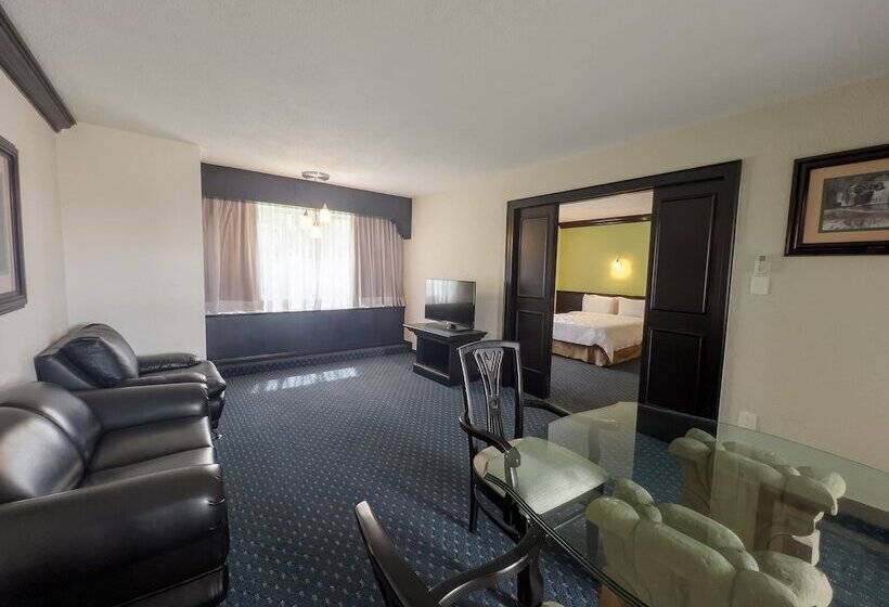 جناح, Holiday Inn San Luis Potosi Quijote By Ihg