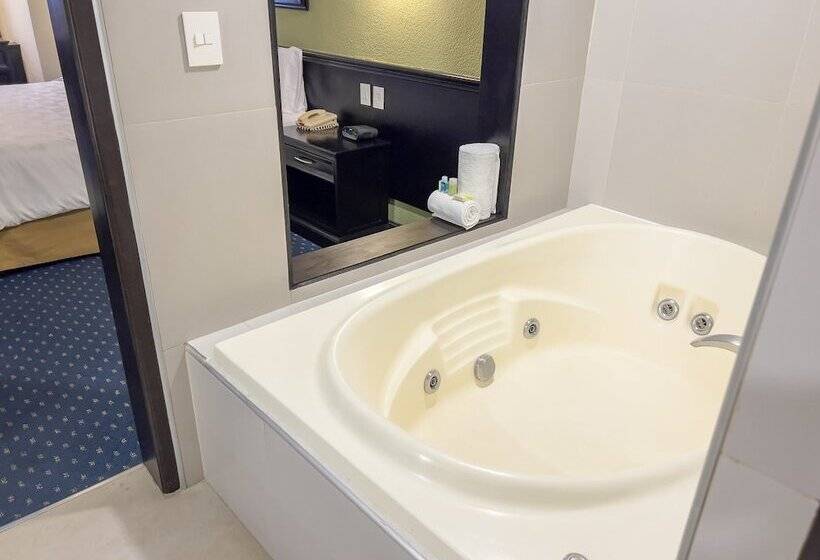 جناح, Holiday Inn San Luis Potosi Quijote By Ihg