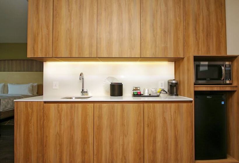 سوییت, Holiday Inn San Luis Potosi Quijote By Ihg