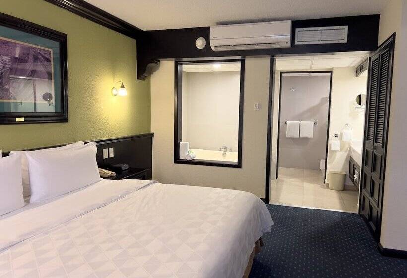 جناح, Holiday Inn San Luis Potosi Quijote By Ihg