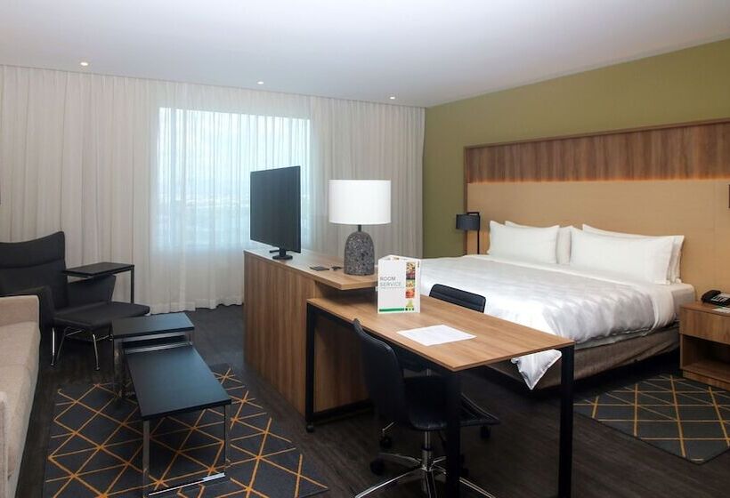 سوییت, Holiday Inn San Luis Potosi Quijote By Ihg