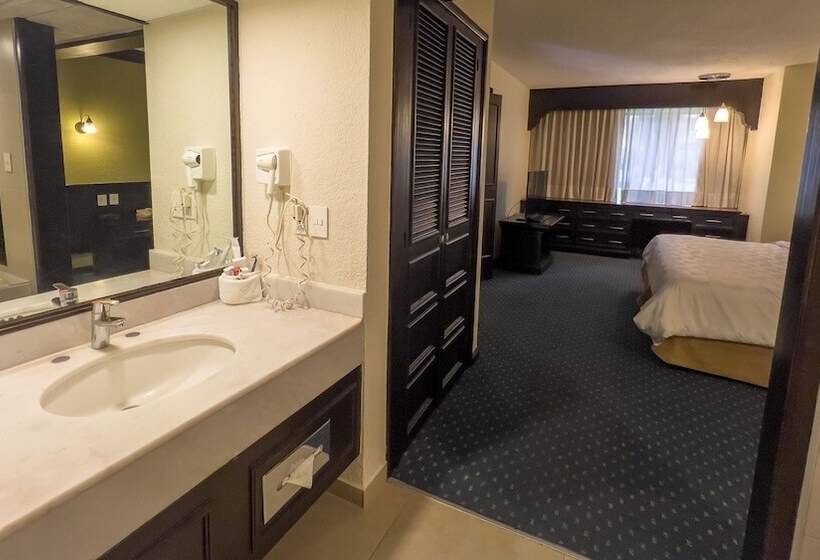 سوییت, Holiday Inn San Luis Potosi Quijote By Ihg