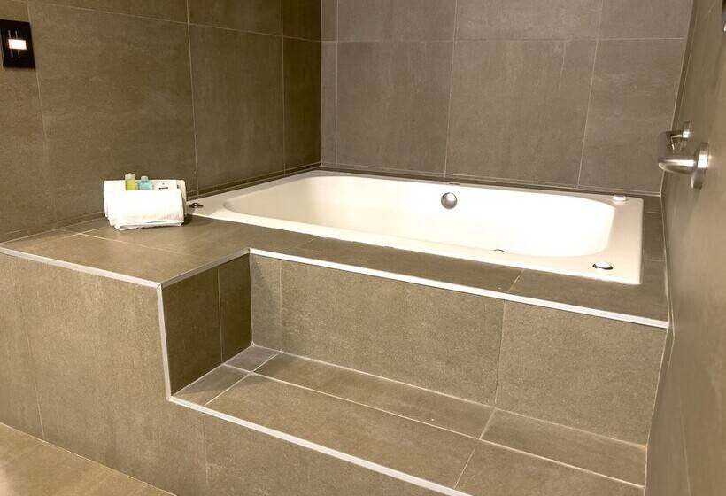 سوییت, Holiday Inn San Luis Potosi Quijote By Ihg