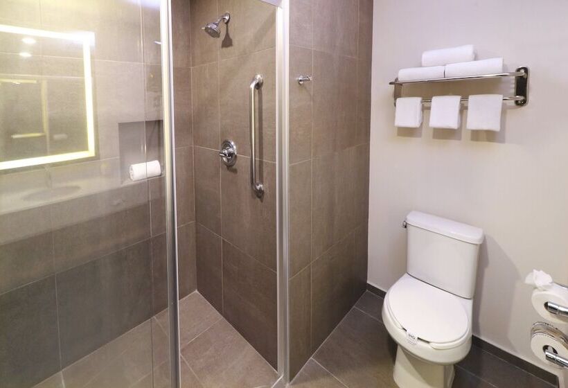 اتاق استاندارد با 2 تخت دوبل, Holiday Inn San Luis Potosi Quijote By Ihg