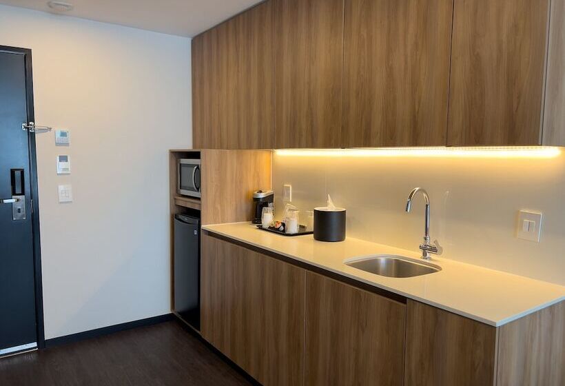 سوییت, Holiday Inn San Luis Potosi Quijote By Ihg