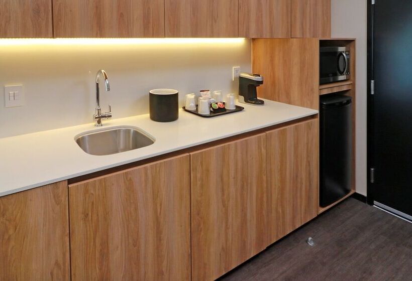 سوییت, Holiday Inn San Luis Potosi Quijote By Ihg