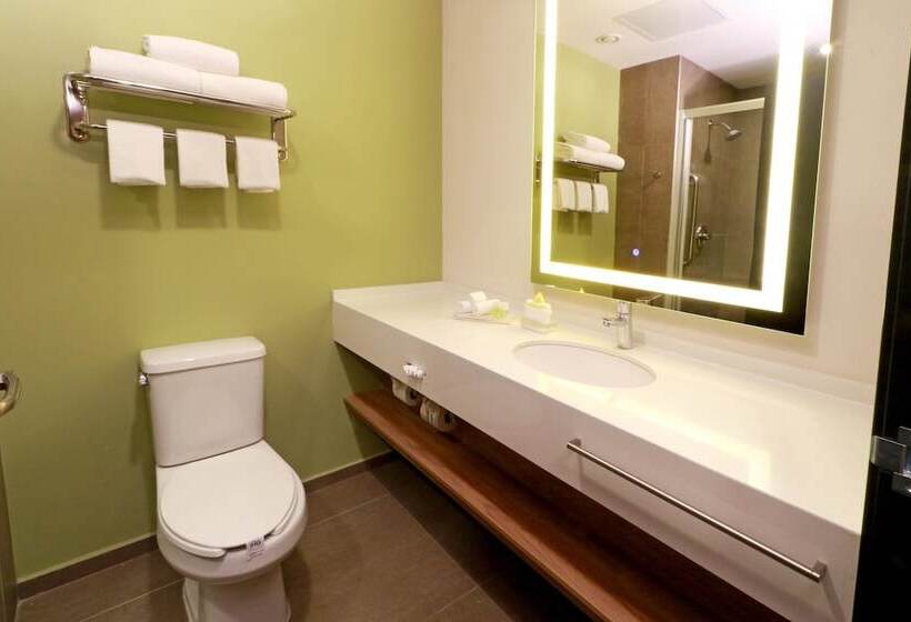 اتاق استاندارد با 2 تخت دوبل, Holiday Inn San Luis Potosi Quijote By Ihg